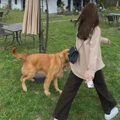 没有爱的恋人们